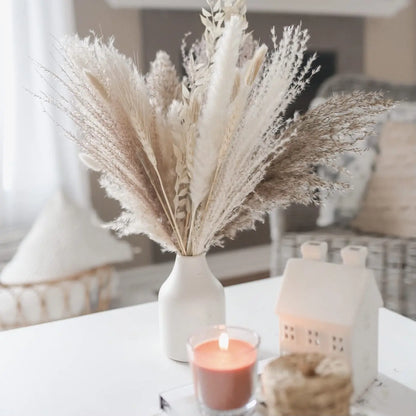 30pcs Dried Pampas Grass Premium