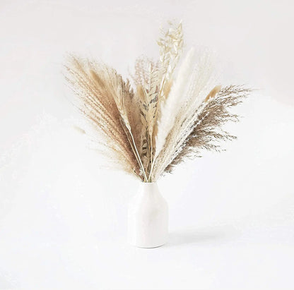 30pcs Dried Pampas Grass Premium