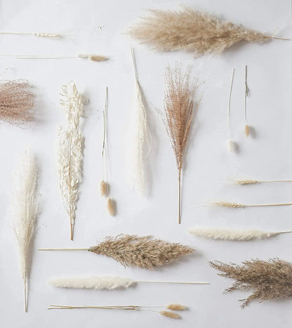 30pcs Dried Pampas Grass Premium